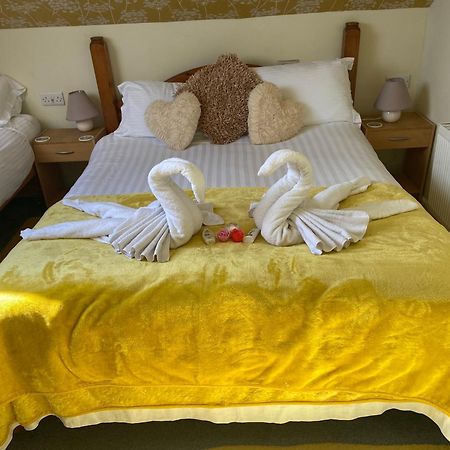 Aquarius B&B New Quay Exterior foto